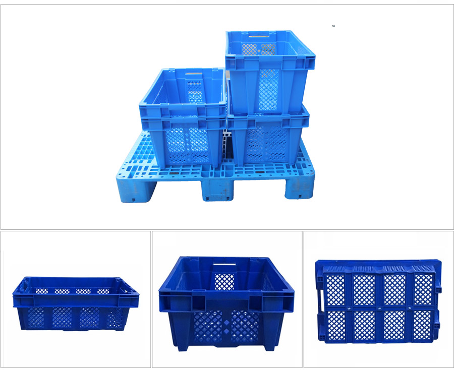1593401574.jpg zhu.jpg